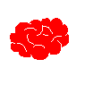 brain